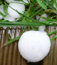 hagel-14.06.07_1.jpg