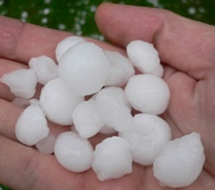 hagel-14.06.07_2.jpg